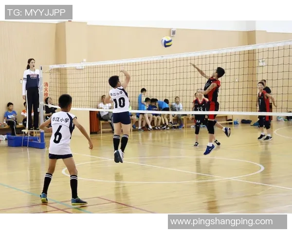 上海飞盘队心理素质排名第一最新飞盘心理素质TOP10揭晓