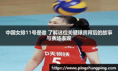 TVT体育官网